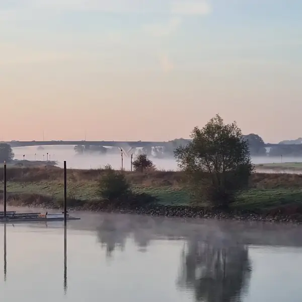 fog-2